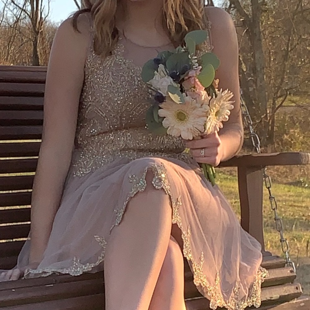 Jodi kristopher nude and gold formal dress